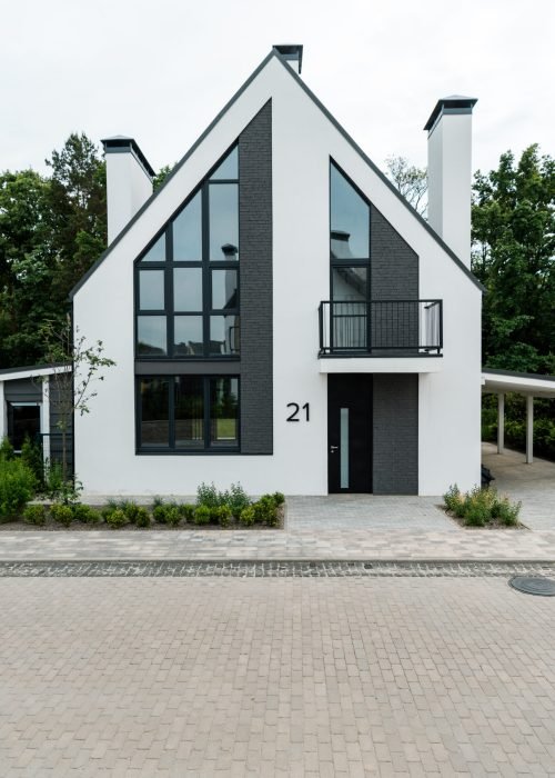 green grass near new modern and luxury home