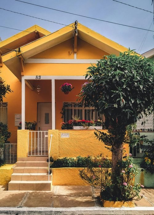 pexels-thgusstavo-2102587